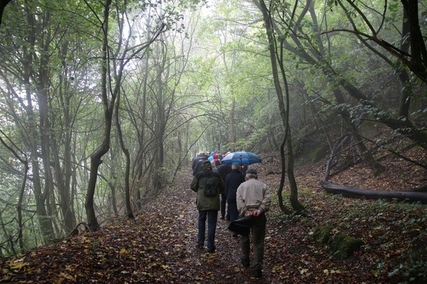 Auf em Bild sehen wir eine Exkursion in den Wald im Anschluss an die Tagung